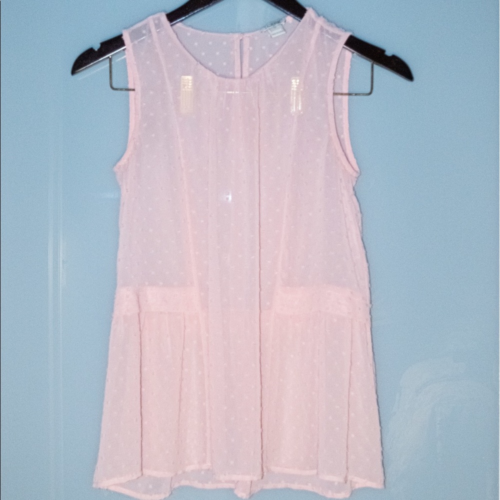 Sheer Pink Blouse